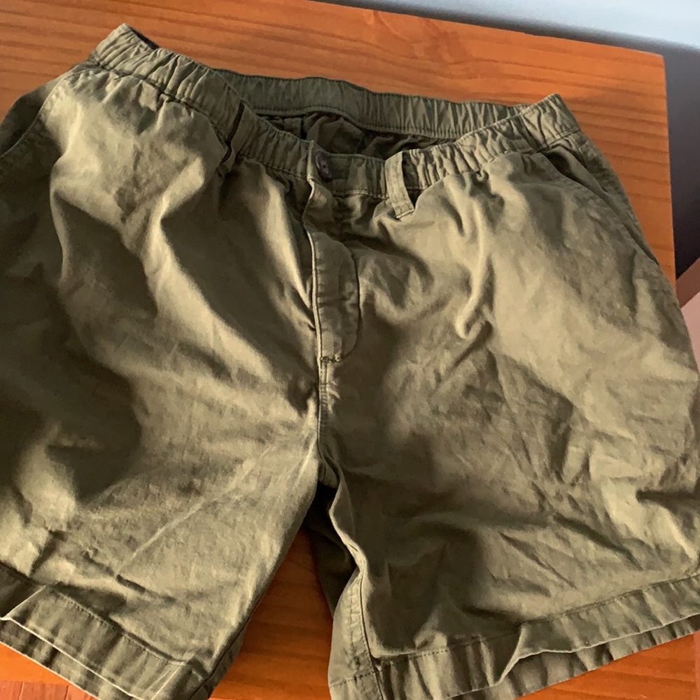 Chubbies classic shorts 5” inseam forest green.